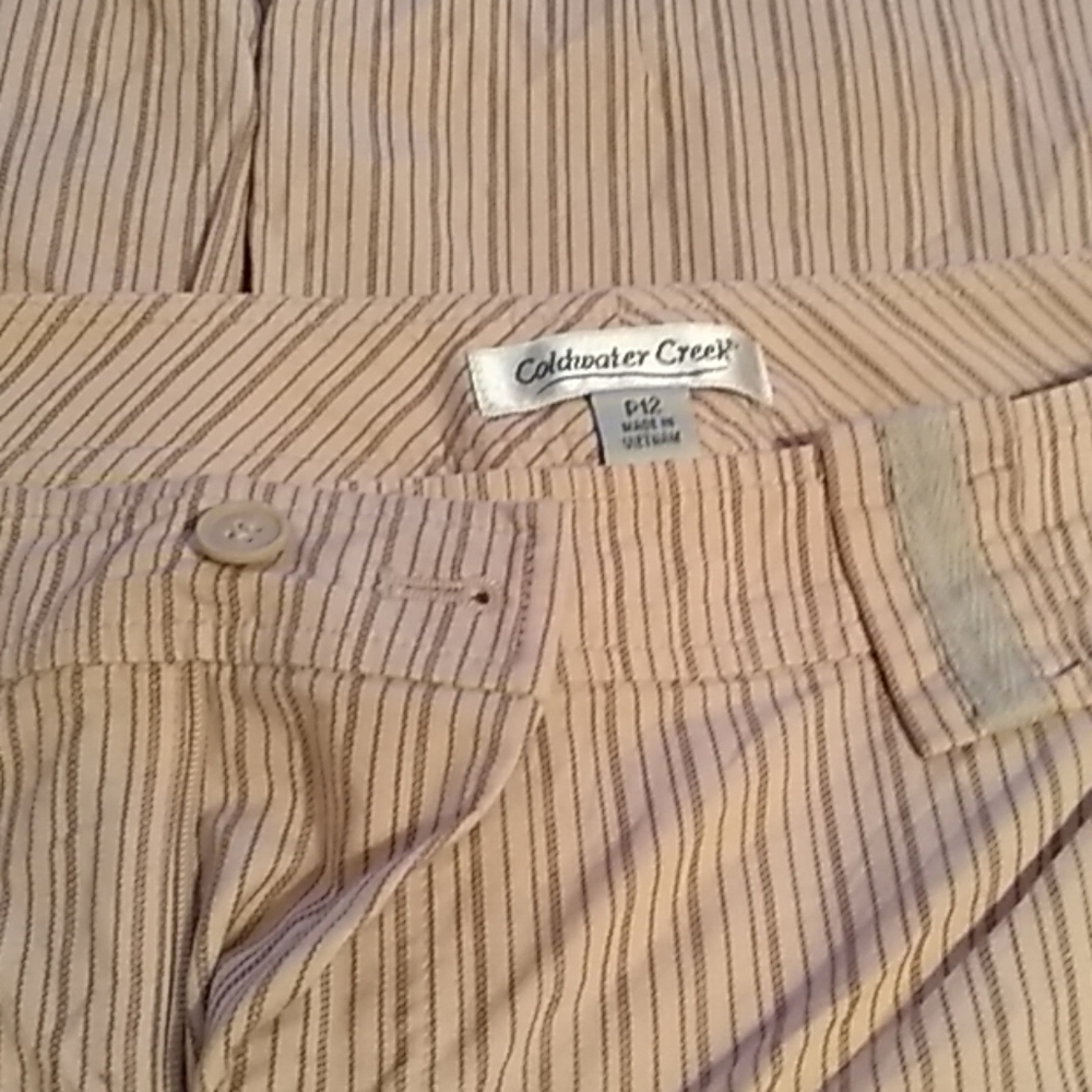 Coldwater Creek tan stripped pants size 12p